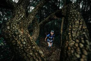 BIB: 
                            <button type="button" onclick="openModal(25693161)" class="btn btn-primary btn-sm float-right btn-popup" data-toggle="modal" data-target=".modal-high-quality">
                        <i class="fas fa-shopping-cart"></i> Add to Cart
                    </button>
                                            <button type="button" onclick="isThisMe(25693161, true)" class="btn btn-success btn-sm float-right btn-popup btn-isme hidden" data-toggle="tooltip" data-placement="bottom" title="นี่คือรูปของคุณใช่ไหม คลิกที่นี่เพื่อเอาเข้าอัลบั้ม">
                        <i class="fas fa-plus"></i> Add to album
                    </button>
                    <button type="button" onclick="isThisMe(25693161, false)" class="btn btn-warning btn-sm float-right btn-popup btn-isnotme hidden">
                        <i class="fas fa-ban"></i> Remove from album
                    </button>